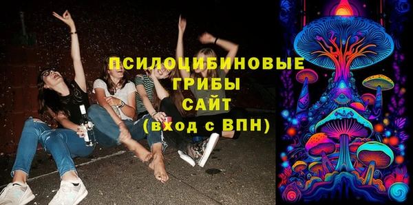 спайс Нея