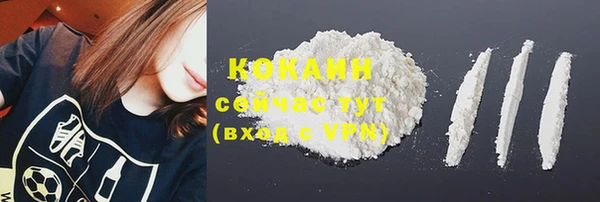 спайс Нея