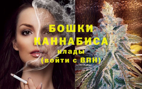 спайс Нея