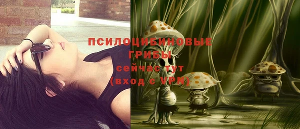 твердый Нефтекумск