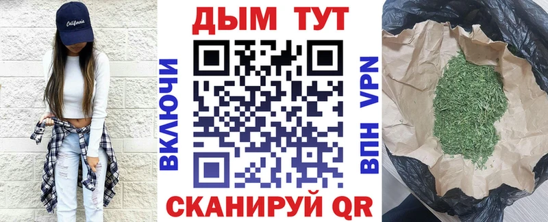 Конопля семена Томск